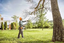 Trusted Shavertown, PA Tree Care Experts