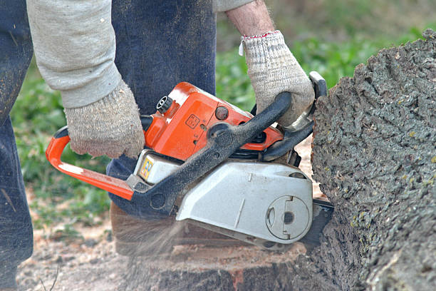 Best Lawn Watering Services  in Shavertown, PA