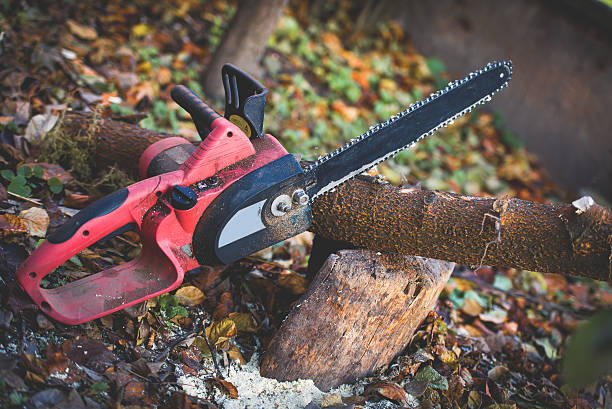 Best Pest Control for Lawns  in Shavertown, PA
